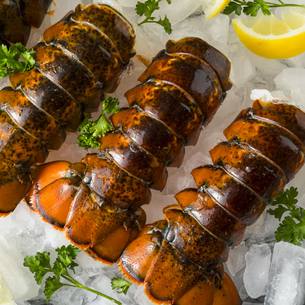 Lobster Tails - Large