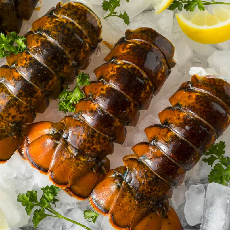 Lobster Tails - Large 7oz