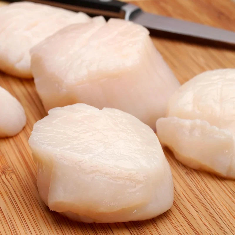 Large Scallops